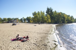 Petrie Island's River Beach had high E.coli levels for 12 days this summer. 