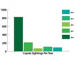 Per-Year-Coyotes