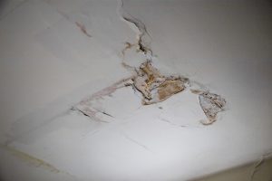 To Jonas Langille, the damaged ceiling in the lobby of the Manhattan building where he lives at 235 Cooper St. is a worrying sign of other potential issues with the building.